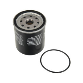 CUsersPost44cDesktopBLU IMMAGINIBLU-ADA102305.jpg FILTRO CARBURANTE