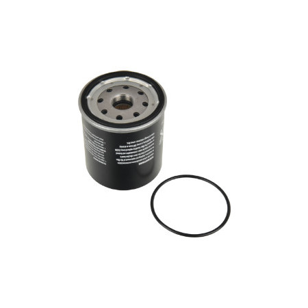 CUsersPost44cDesktopBLU IMMAGINIBLU-ADA102305.jpg FILTRO CARBURANTE