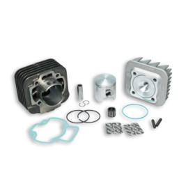 31 6926_store.jpg 316926 MALOSSI GRUPPO TERMICO SPORT PER PIAGGIO 70CC D.47 AC ARIA SPINOTTO 12 GHISA