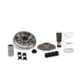 5118980_store.jpg MALOSSI 5118980 VARIATORE MULTIVAR 2000 HONDA SH-ADV-FORZA 350 2021-