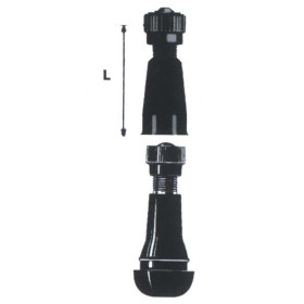 999999000.jpg VALVOLA TUBELESS PAX DIRITTA