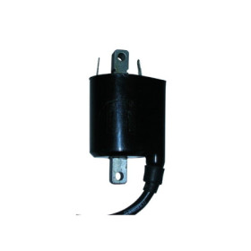 MARSRV03SISTEMIIMGSGR0010557.jpg BOBINA AT EST.12V ADAT.MOTO-SC
