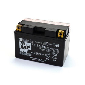 MARSRV03SISTEMIIMGSGR063111.jpg BATTERIA FURUKAWA FT12A-BS 12V