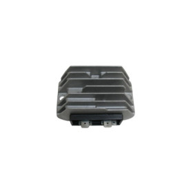 MARSRV03SISTEMIIMGSGR167136.jpg REGOLAT.LOMBARDINI12V-7FASTON C/TERM. W