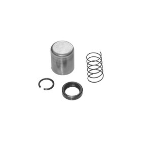 MARSRV03SISTEMIIMGSGR178482.jpg KIT REVISIONE PIGNONE (PER 17.8100)