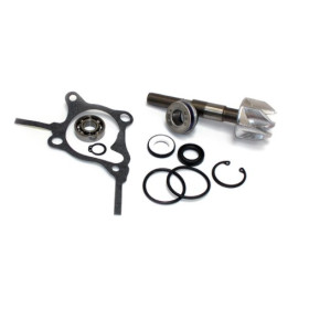282010.jpg KIT RIPARAZIONE POMPA ACQUA HONDA 250 FORESIGHT/JAZZ