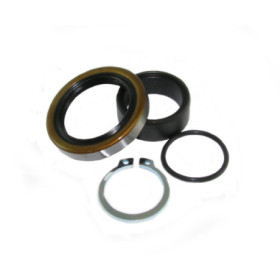 4110258.jpg KIT REVISIONE ALBERO PIGNONE (RIF. ALL-BALLS: 25-4016)