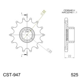 540003716.jpg PIGNONE P525 - Z17 (DIS.00037)