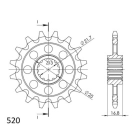 540050116.jpg PIGNONE P520 - Z17 (DIS.00501)