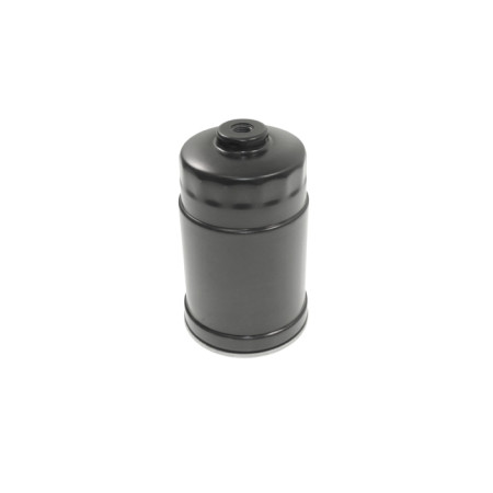 CUsersPost44cDesktopBLU IMMAGINIBLU-ADG02326.jpg FILTRO CARBURANTE