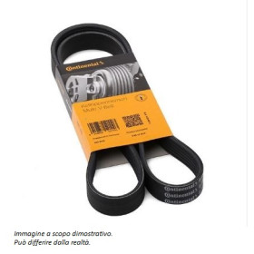 cingh serv conti AMB.JPG Cinghia poly-v