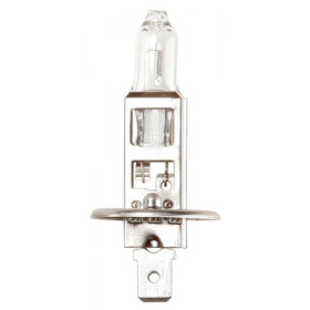 R448-2.jpg RING LAMPADA ALOGENA H1 12V 55W