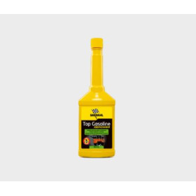 115018-19.JPG TOP GASOLINE REPOWER ML.250