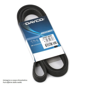 cingh serv dayco AMB.jpg Cinghia poly-v